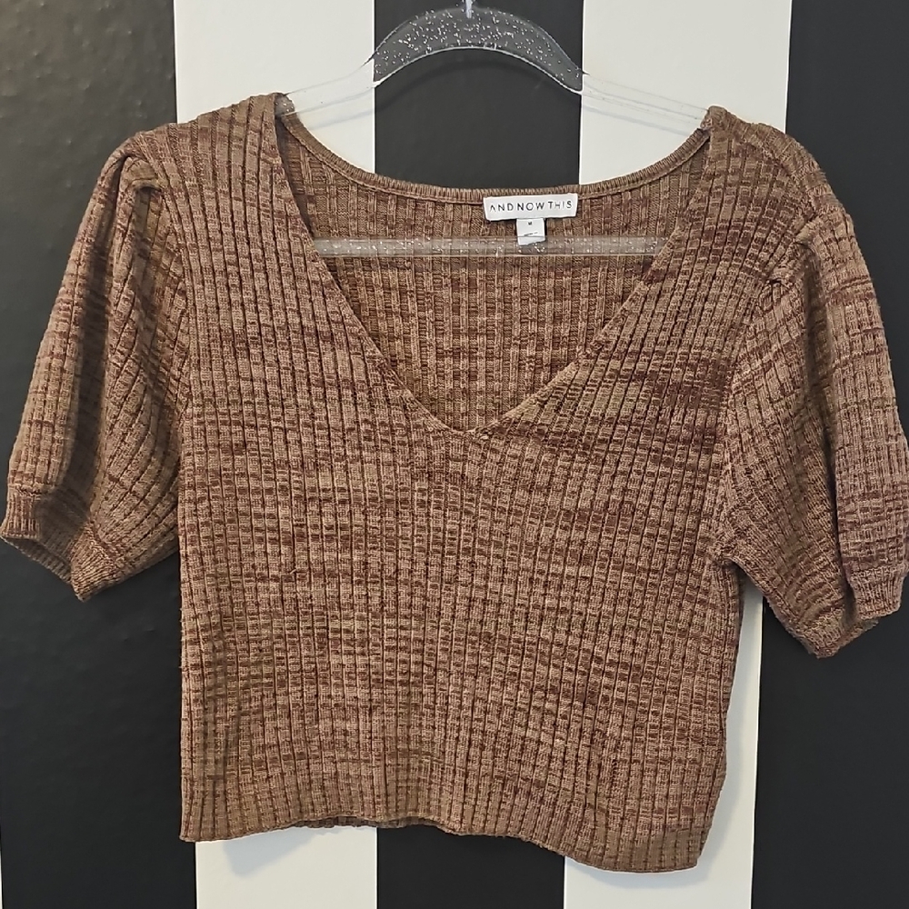 Brown Ribbed V-Neck Crop Top